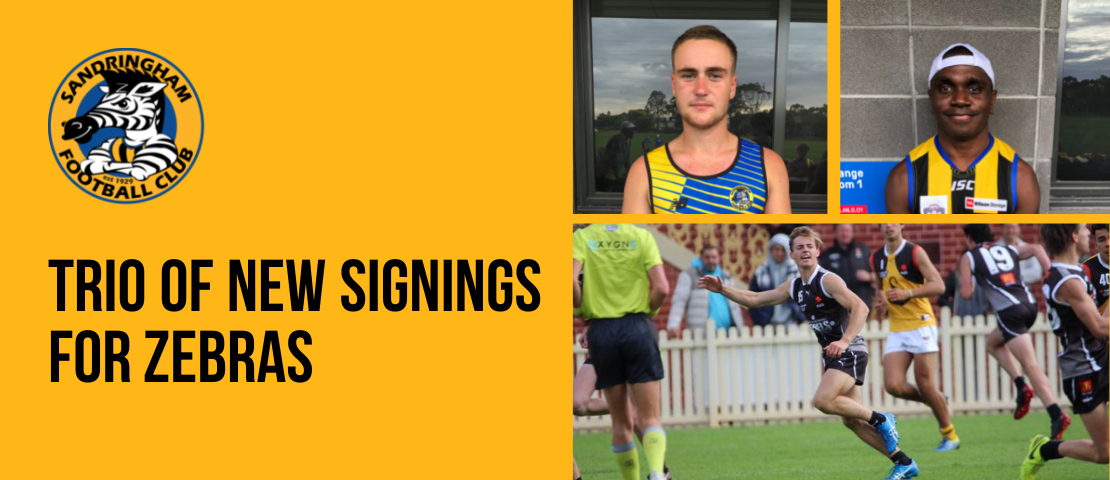 Trio of new signings for the Zebras