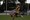 Jono Haidon